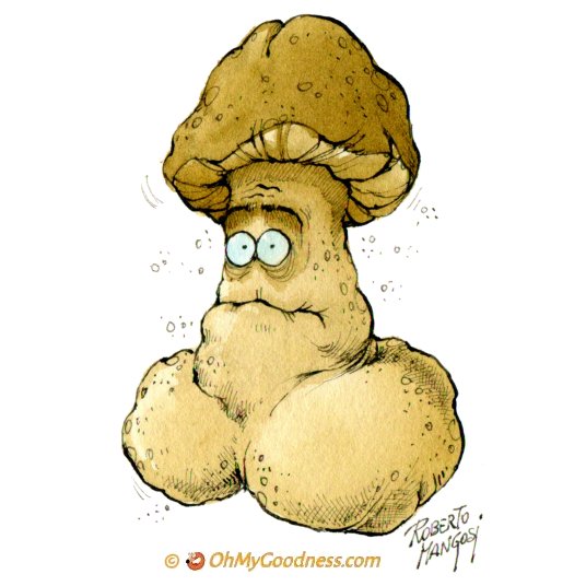 Adult Humor: Mushroom Season