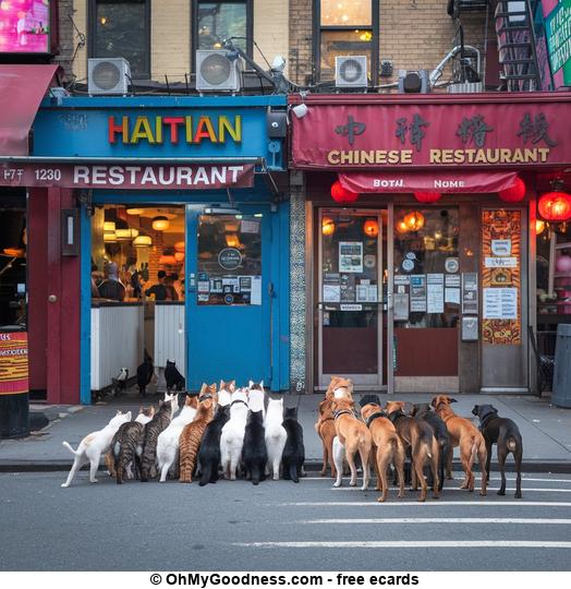 Haitian or Chinese? Tough choice!