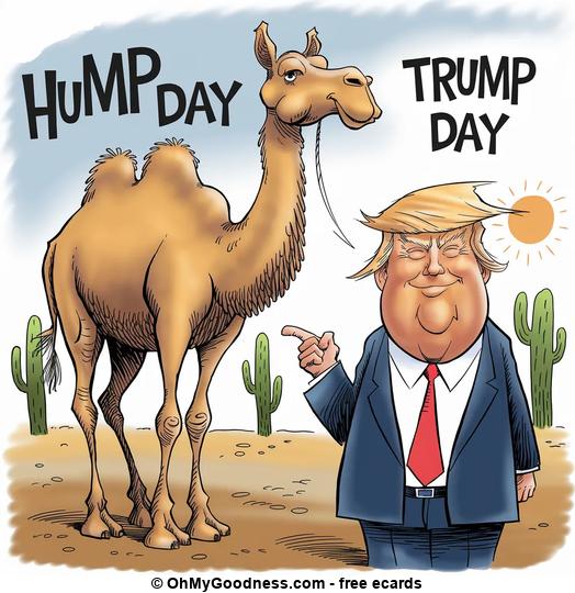 Trump day on Hump day