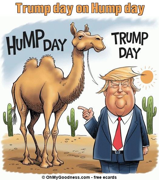 : Trump day on Hump day