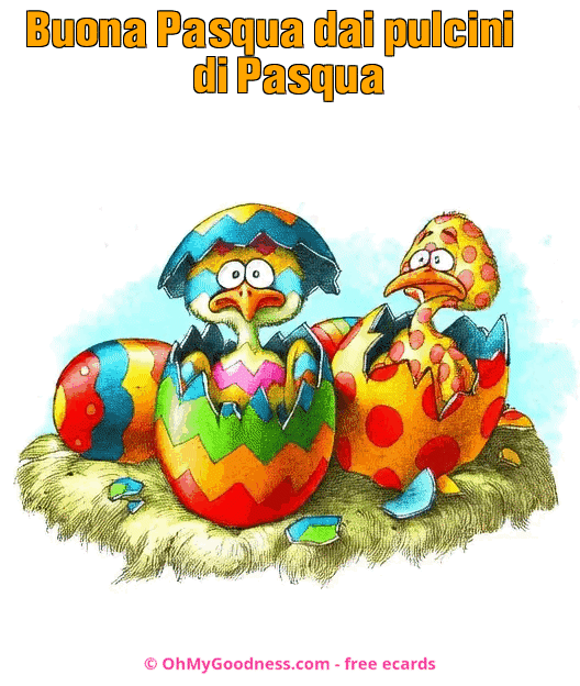 : Buona Pasqua dai pulcini di Pasqua